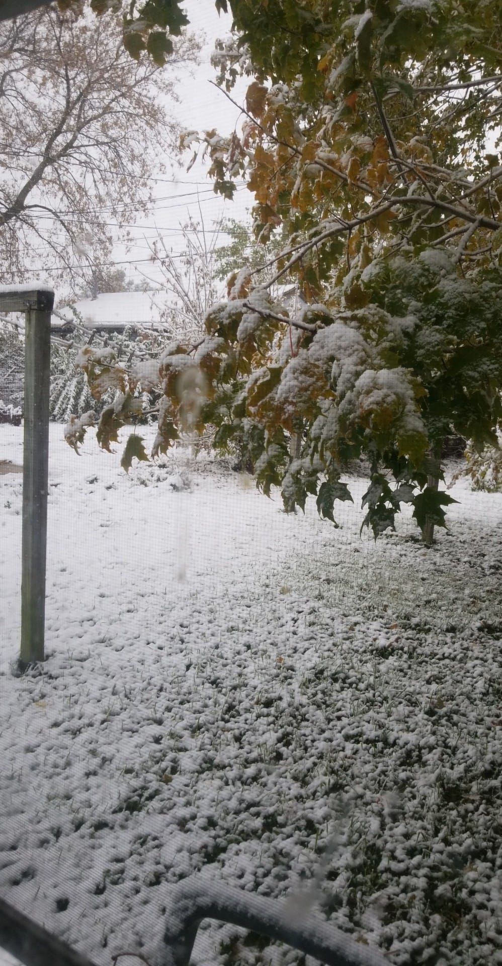 Racine, west of Humble Park